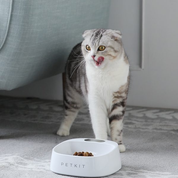 Anti-Bacterial Waterproof Smart Food Weight Calculating Digital Scale Pet Cat Dog Bowl Feeder 3